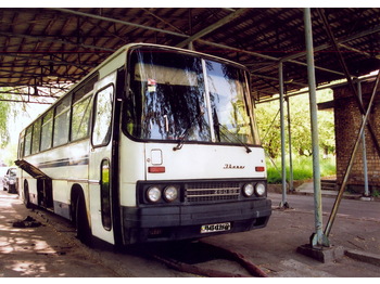 IKARUS 250.59 - Távolsági busz