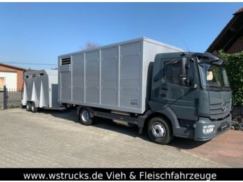 Állatszállító teherautó a következők szállításához állat Mercedes-Benz 821L" Neu" WST Edition" Menke Einstock Vollalu: 1 kép.