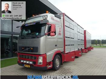 Állatszállító teherautó Volvo FH 480 Berdex veewagen combinatie: 1 kép.