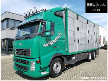 Állatszállító teherautó Volvo FH 520 6x2 / 3 Stock / German: 1 kép.