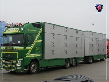Állatszállító teherautó Volvo FH 540 COMBI | EURO 6 | I-SHIFT| 3 DEKS | 3 STOCK livestock: 1 kép.